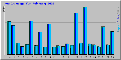 Hourly usage for February 2020