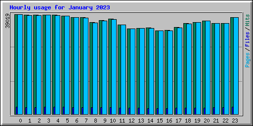 Hourly usage for January 2023