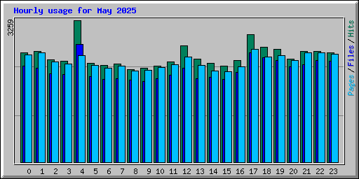 Hourly usage for May 2025