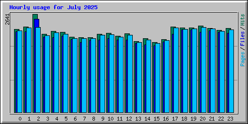 Hourly usage for July 2025