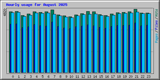 Hourly usage for August 2025