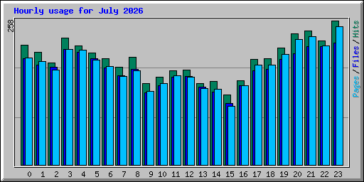 Hourly usage for July 2026