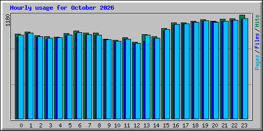 Hourly usage for October 2026